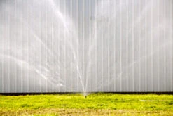 Squall Wall (1.5 Female NH ), Scotty 5 Squall Wall (1.5 Female NH ), Scotty -Survival Provisions 859.32004.a 6b290229 6625 40ed a5d3 3c620ae89578